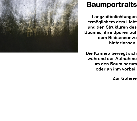 ﷯Baumportraits Langzeitbelichtungen ermöglichem dem Licht und den Strukturen des Baumes, ihre Spuren auf dem Bildsensor zu hinterlassen. Die Kamera bewegt sich während der Aufnahme um den Baum herum oder an ihm vorbei. Zur Galerie 